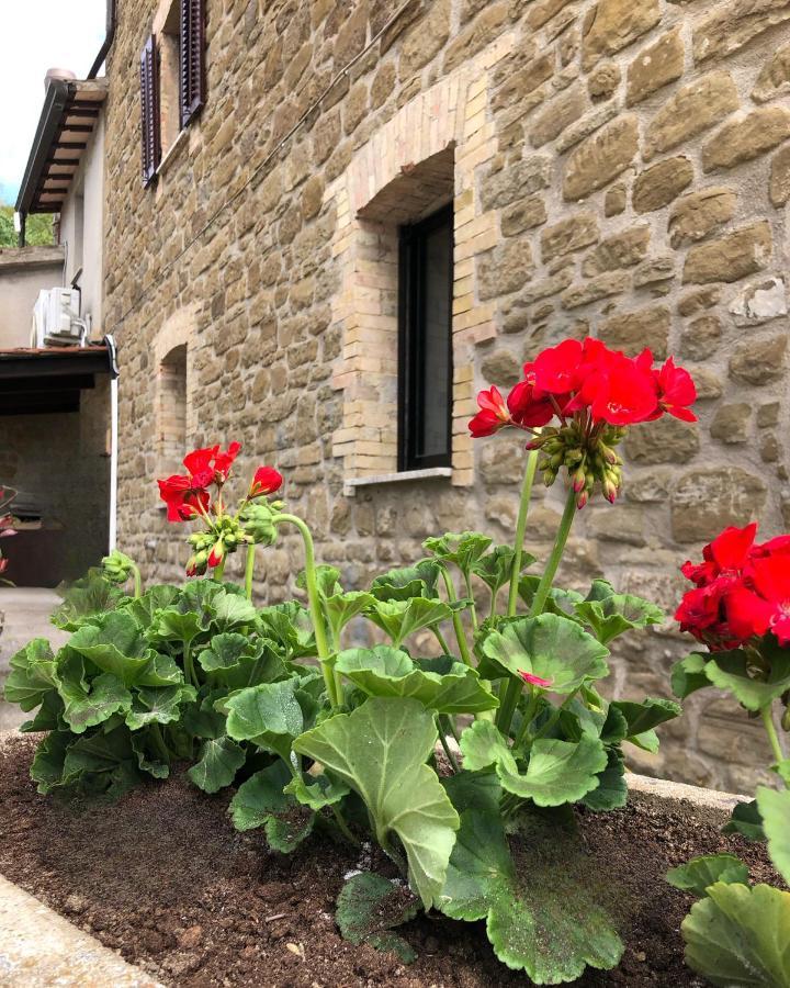 Bed & Breakfast Tra Le Colline Assisi